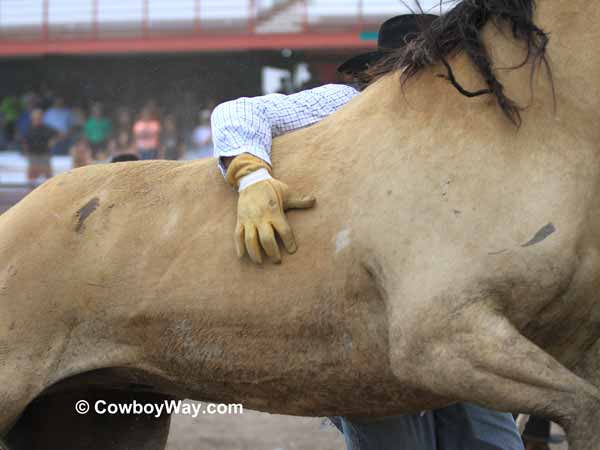 A wild horse runs away A wild horse runs away