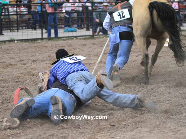 A wild horse racing team jumps on a lead rope A wild horse racing team jumps on a lead rope