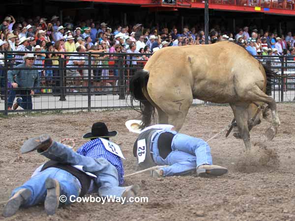 A wild horse drags three contestants A wild horse drags three contestants