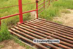 Cattle guard