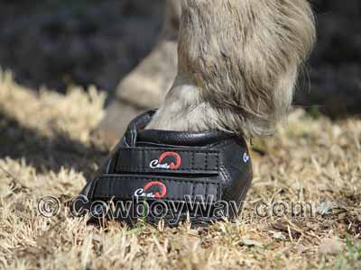 Cavallo Horse Boots Size Chart