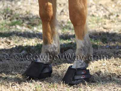 Pair of Cavallo Simple boots on a palomino horse