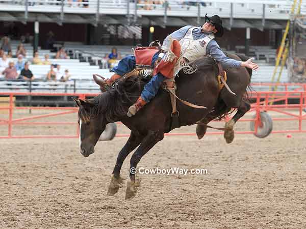 Bareback bronc rider Kaycee Field on bronc Dinner Bell Bareback bronc rider Kaycee Field on bronc Dinner Bell