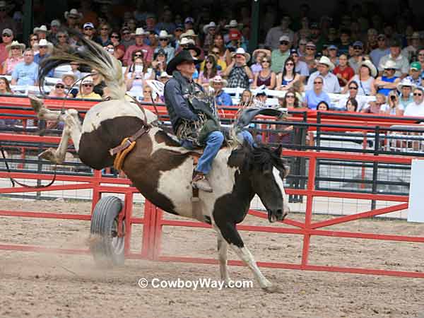 A bronc rider waits for the pickup men A bronc rider waits for the pickup men