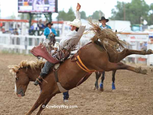 Bryan Jones on bareback bronc Power Play Bryan Jones on bareback bronc Power Play