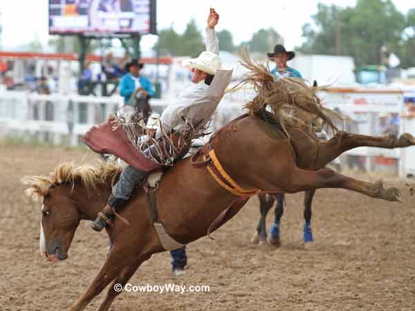 Bryan Jones on bareback bronc Power Play