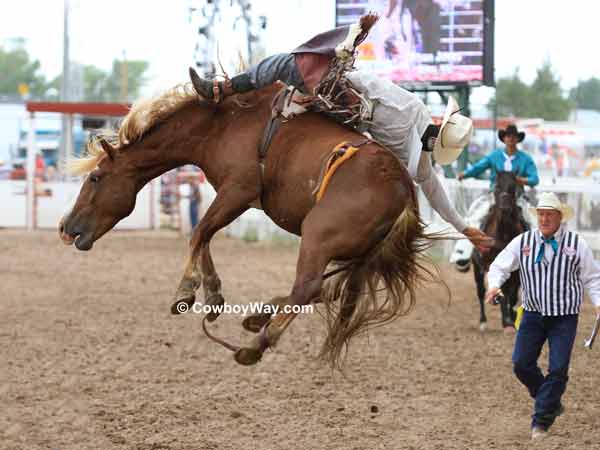 Bryan Jones makes a wild ride on bareback bronc Power Play Bryan Jones makes a wild ride on bareback bronc Power Play