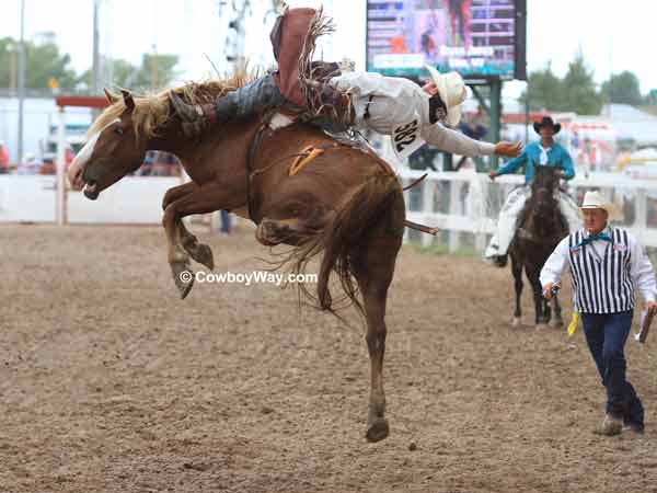 A wild bronc ride gets wilder