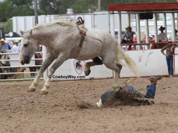A bronc rider gets a rough dismount A bronc rider gets a rough dismount