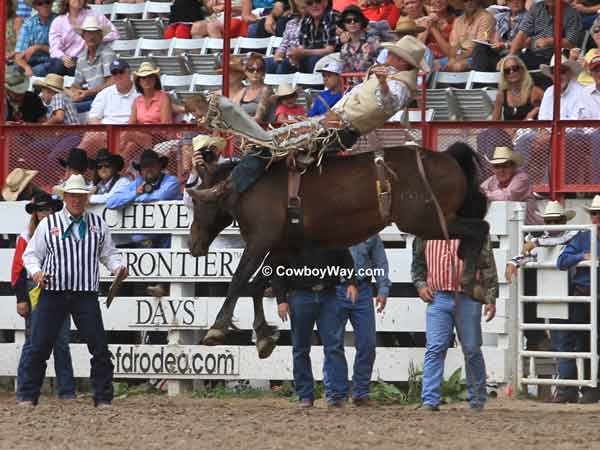 A bareback bronc springs into the air A bareback bronc springs into the air