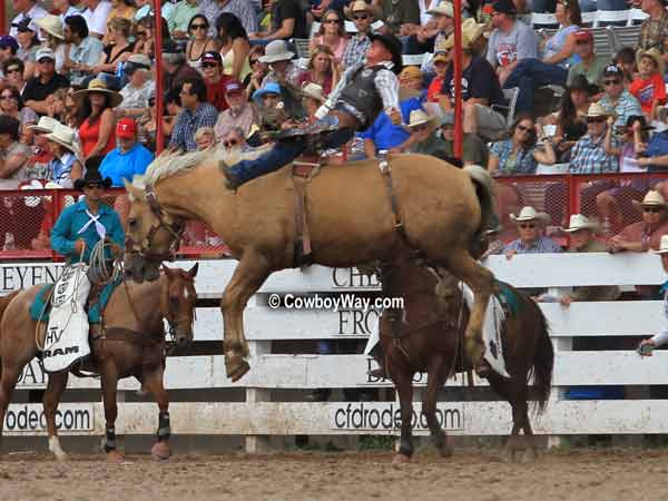 Bronc rider Dale Stoller and bronc Dust Devil