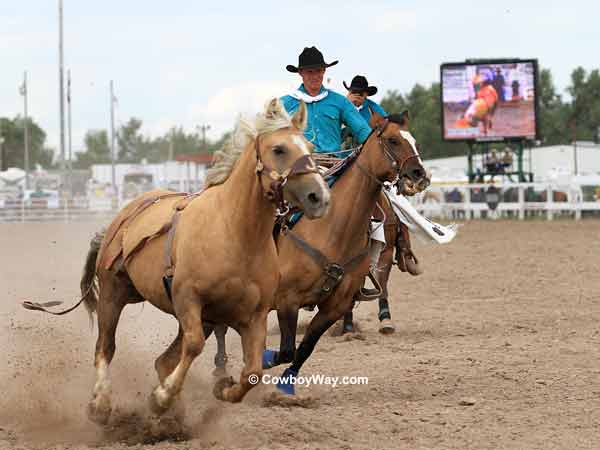 Bareback bronc Dust Devil