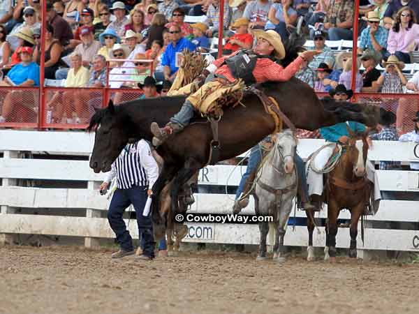 Bareback bronc rider Joe Gunderson on bareback bronc Wilma Bareback bronc rider Joe Gunderson on bareback bronc Wilma