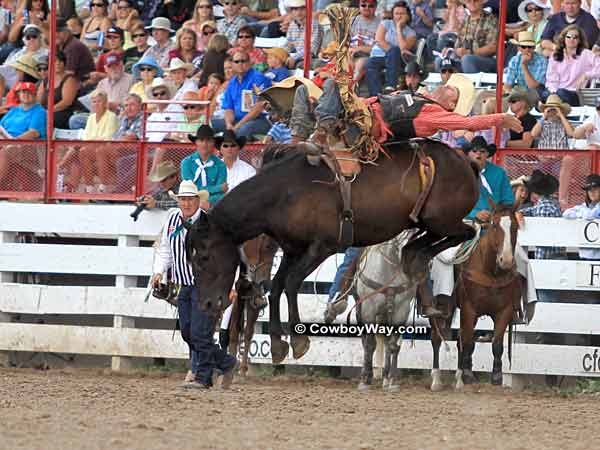 Bronc rider Joe Gunderson and bronc Wilma Joe Gunderson and Wilma