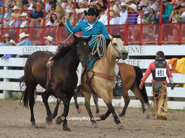 Bareback bronc Wilma trots down the arena