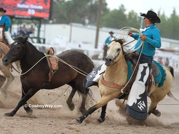 Bareback bronc Wilma