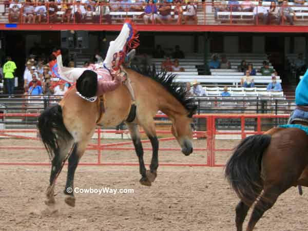 Bareback bronc rider Eric Swenson and bronc Snakebite