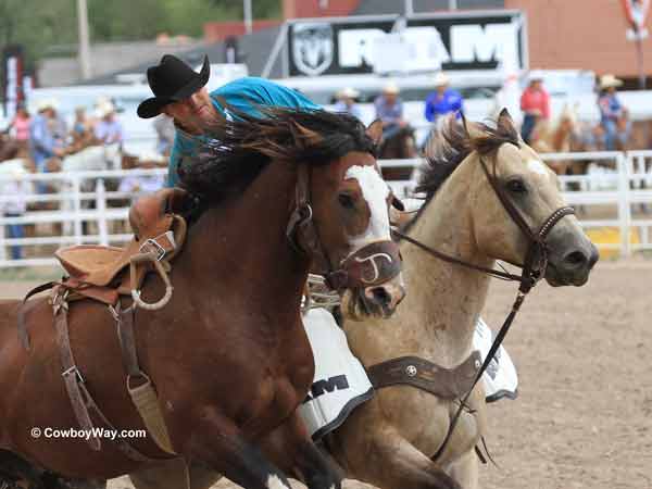 Saddle bronc Chuckulator