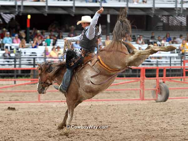 Saddle bronc rider Rusty Allen on 
bronc Lady Gaga