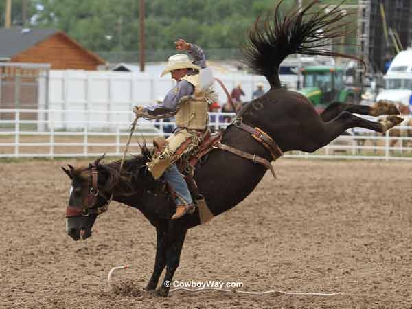 Saddle bronc rider Dusty Hausauer and saddle bronc Tinker Bell Saddle bronc rider Dusty Hausauer and saddle bronc Tinker Bell