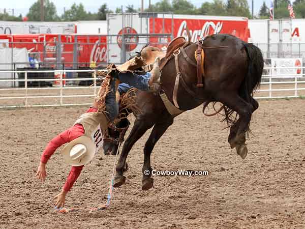 Saddle bronc rider Ryan MacKenzie 
and saddle bronc Deadwood