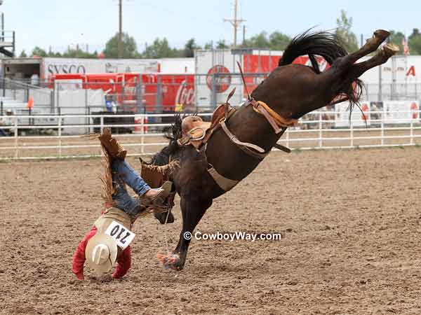 Ryan MacKenzie takes a long fall off of Deadwood