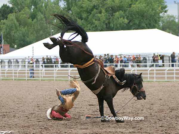 Ryan MacKenzie takes the rough way off of Deadwood Ryan MacKenzie takes the
rough way off of Deadwood