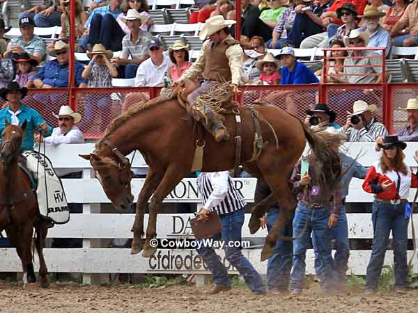 Saddle bronc rider Cole Bilbro on 
saddle bronc Raggidy Ann