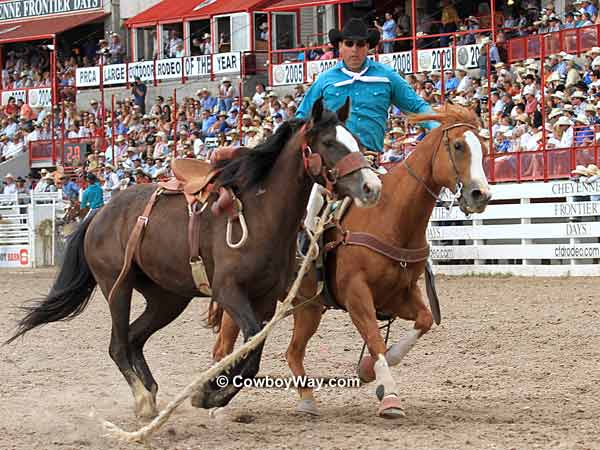 Saddle bronc Dark Ghost