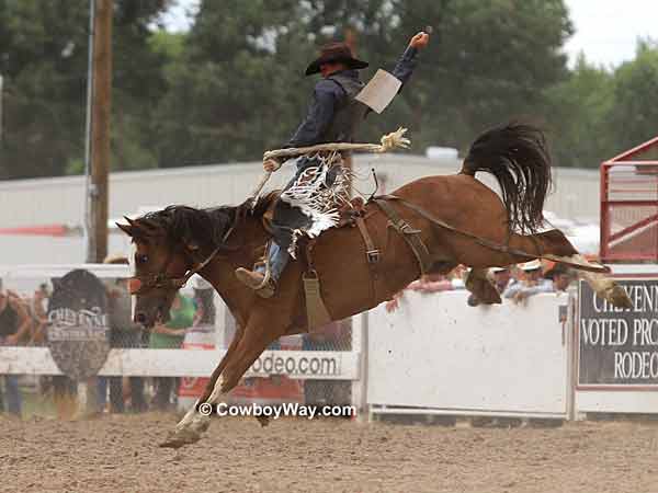 Saddle bronc rider Colton Miller on Ranger Park Saddle bronc rider Colton Miller
on Ranger Park