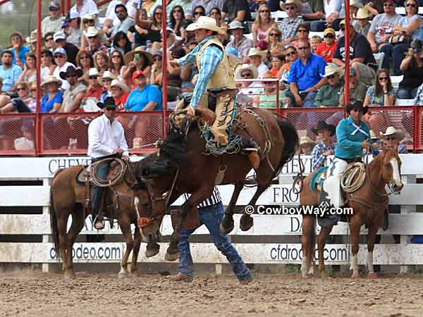 Saddle bronc rider