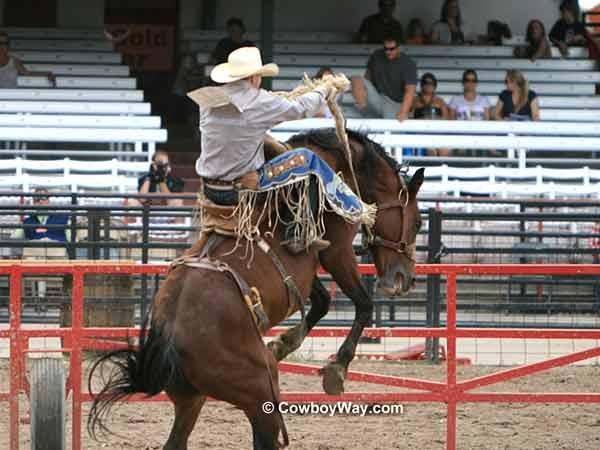 Saddle bronc rider Cody Martin 
on bronc Disco Stick