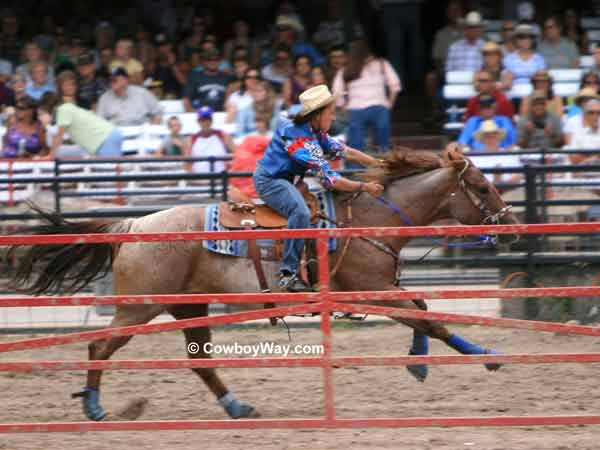 A match racer on the racetrack, 
Cheyenne, WY