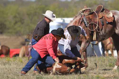 Chops Pasture Roping, 10-01-11 - Photo 4