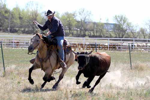 Chops Pasture Roping, 10-01-11 - Photo 59