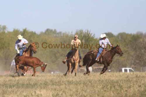 Chops Pasture Roping, 10-01-11 - Photo 6