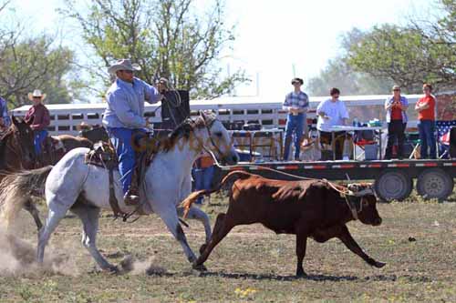 Chops Pasture Roping, 10-01-11 - Photo 8