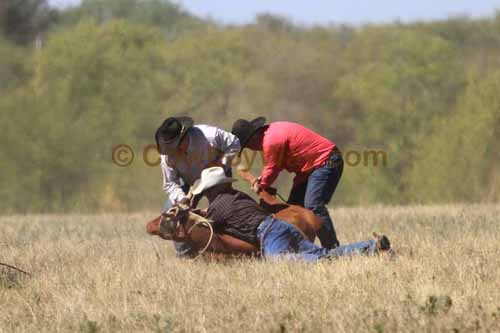 Chops Pasture Roping, 10-01-11 - Photo 97