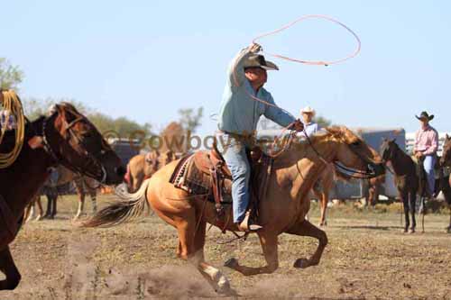 Chops Pasture Roping, 10-01-11 - Photo 9