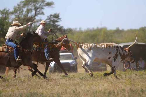 Chops Pasture Roping, 10-01-11 - Photo 111