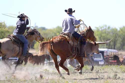 Chops Pasture Roping, 10-01-11 - Photo 115