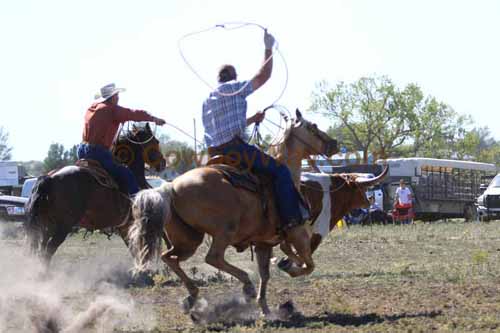 Chops Pasture Roping, 10-01-11 - Photo 119