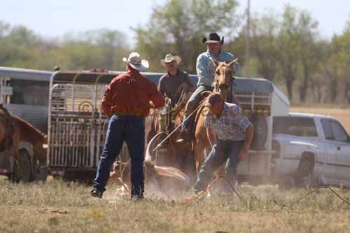 Chops Pasture Roping, 10-01-11 - Photo 120