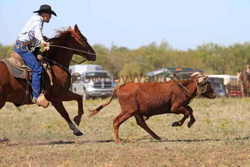 Chops Pasture Roping, 10-01-11 - Photo 10