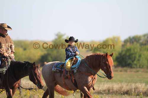 Chops Pasture Roping, 10-04-12 - Photo 1