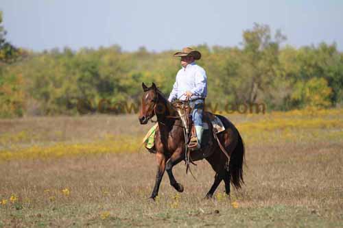 Chops Pasture Roping, 10-04-12 - Photo 2