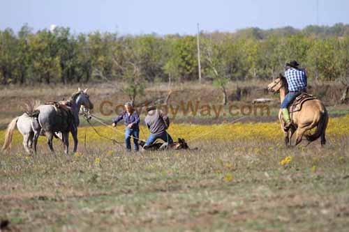 Chops Pasture Roping, 10-04-12 - Photo 6