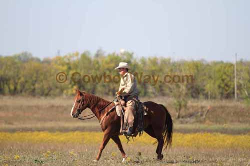 Chops Pasture Roping, 10-04-12 - Photo 8