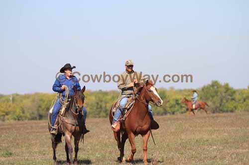 Chops Pasture Roping, 10-04-12 - Photo 9