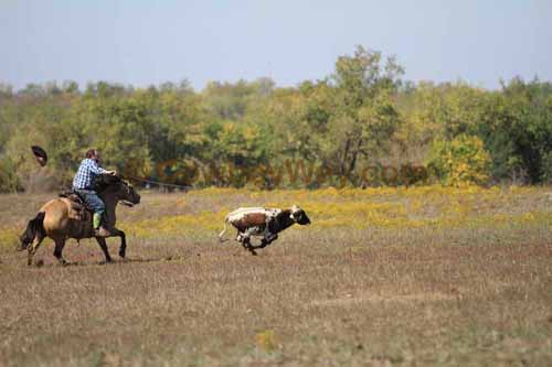 Chops Pasture Roping, 10-04-12 - Photo 10